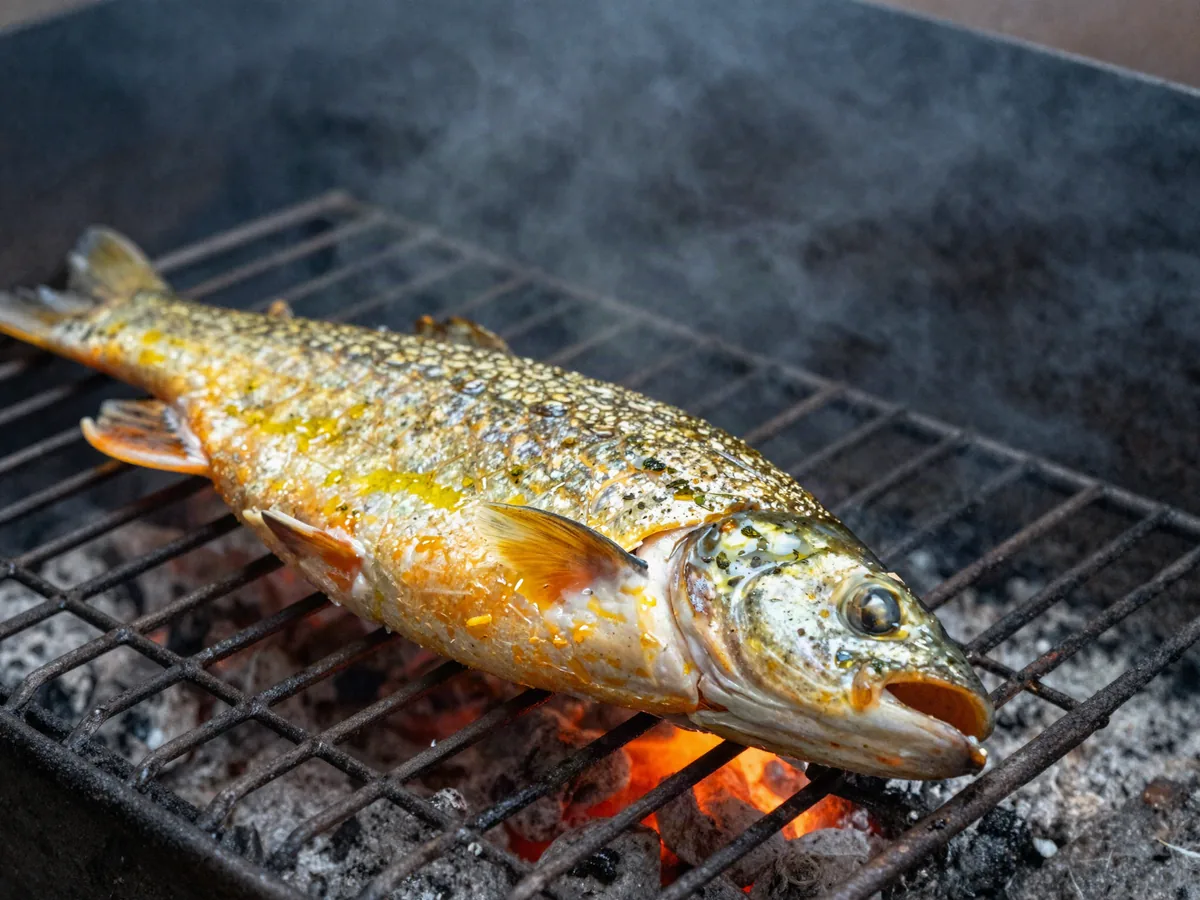 Dorado del Paraná cocinándose sobre la parrilla, con el brillo de la brasa.